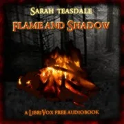 Cover of Flame and Shadow