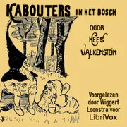 Cover of Kabouters in het Bosch