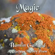 Cover of Magic