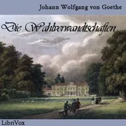 Cover of Die Wahlverwandtschaften
